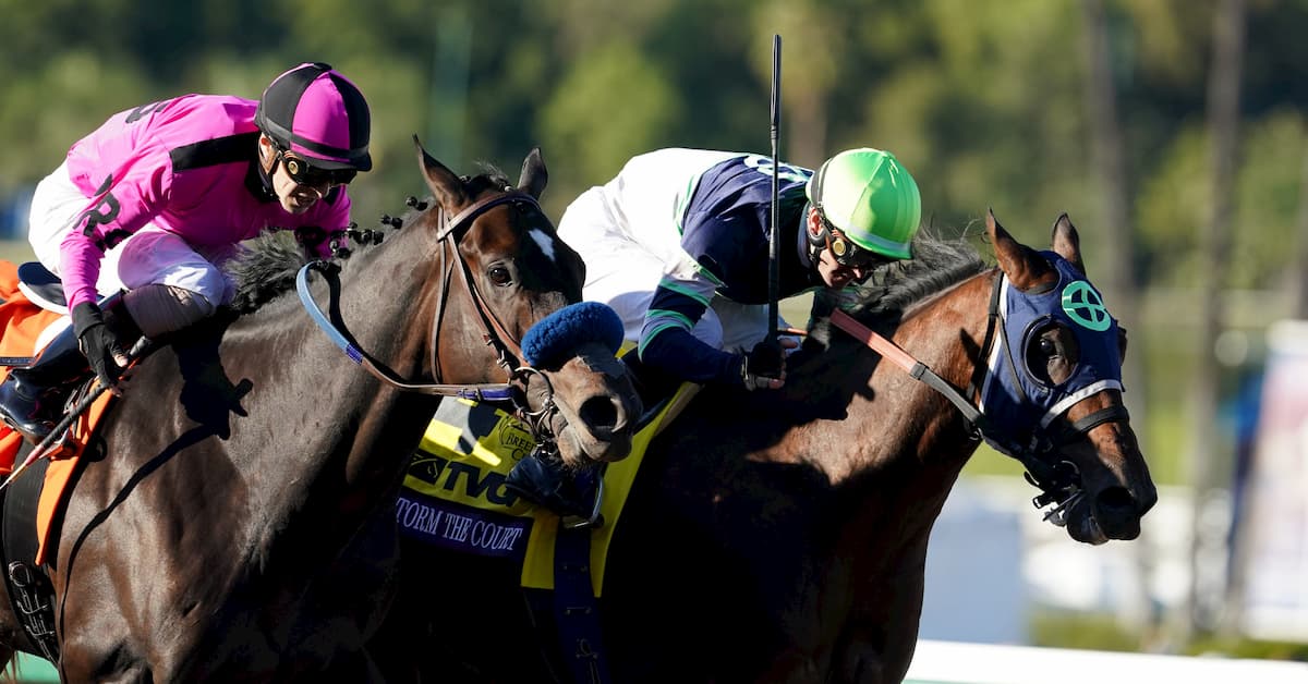 How To Bet On Horses Santa Anita