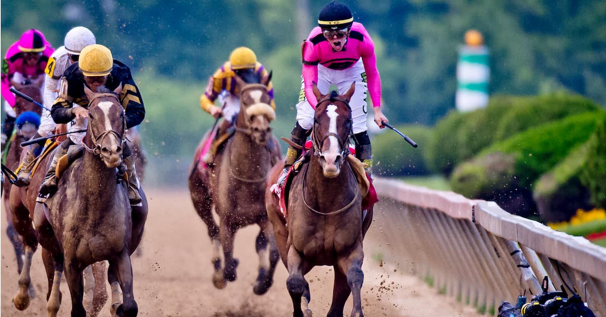 What was the payout for the preakness race track