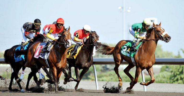 Queen's Plate (Woodbine Racetrack) Predictions, Betting ...