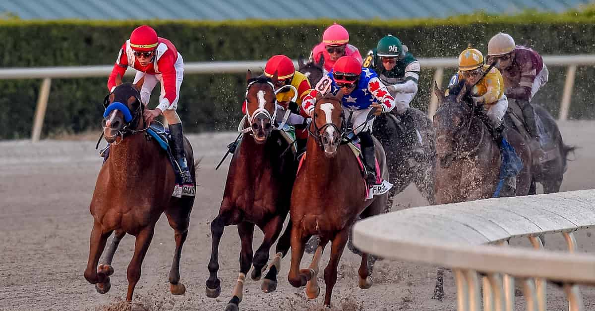 pegasus world cup turf gulfstream park predictions odds picks