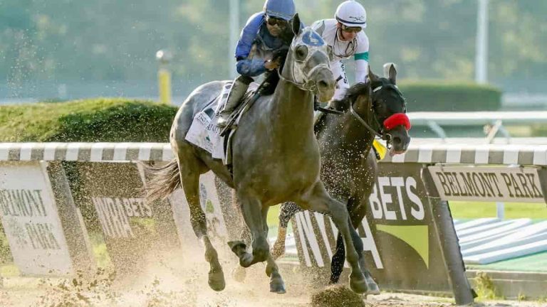 belmont oaks predictions picks betting odds belmont park