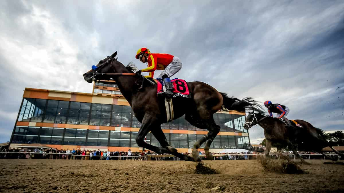 best horse racing weekend picks parx racing