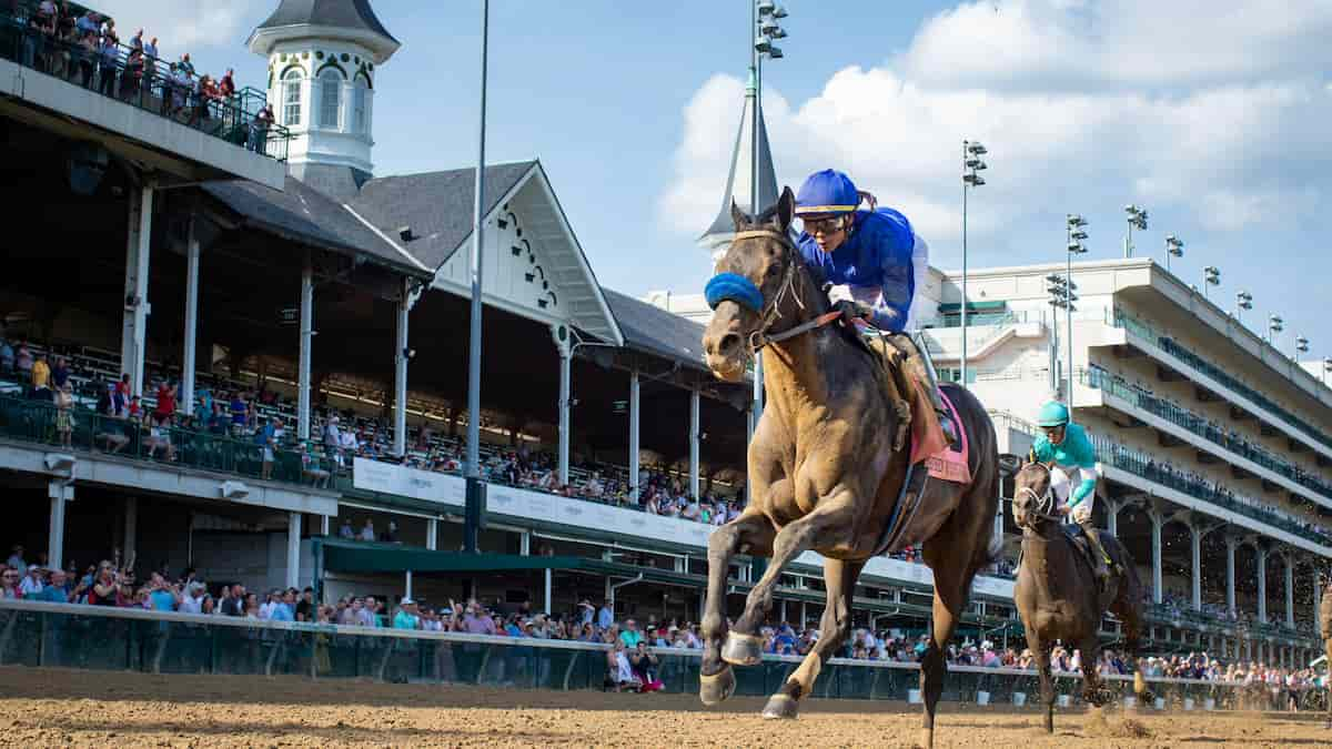 Best Horse Racing Weekend Picks Belmont Churchill Downs