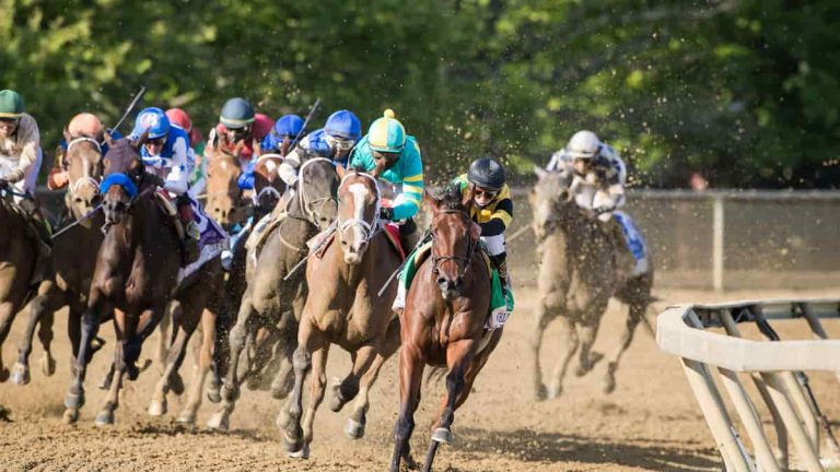 cotillion stakes predictions expert picks odds parx racing