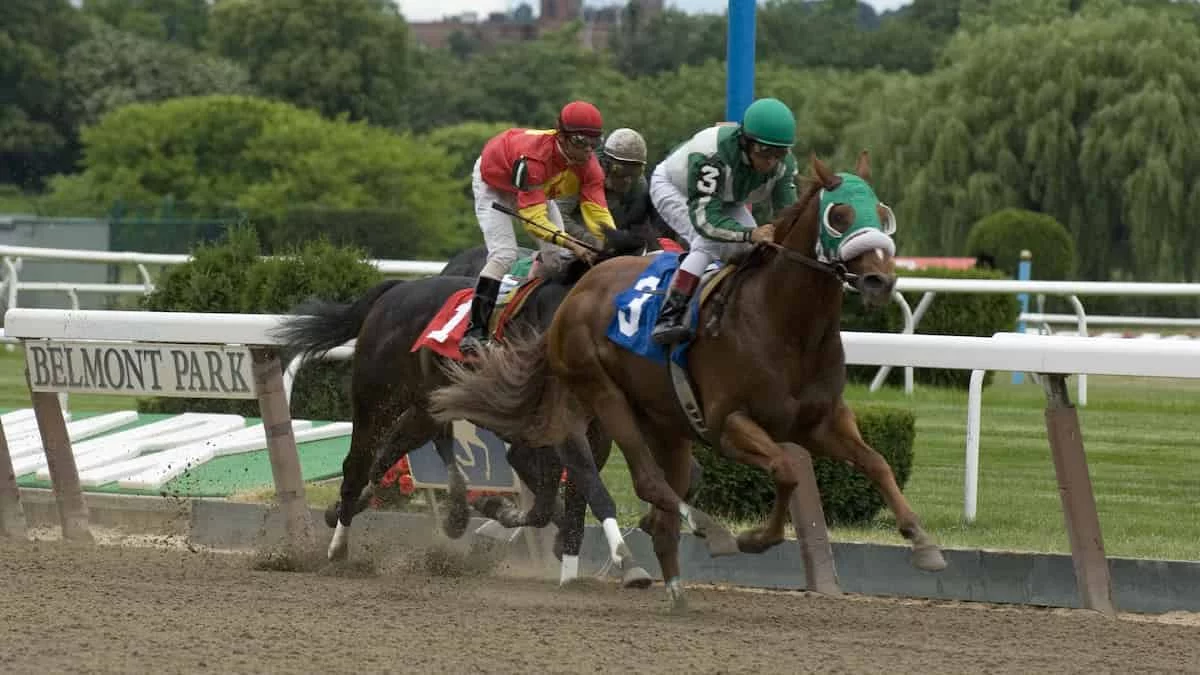 Joe Hirsch Turf Classic Belmont Park Predictions Odds Picks